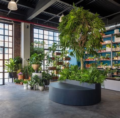Interior Design Ideas With Plants