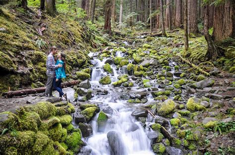 19 Adventurous Things To Do In Olympic National Park Two Wandering Soles