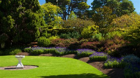 Royal Botanic Gardens Melbourne Case Vacanze Case In Affitto Etc Vrbo