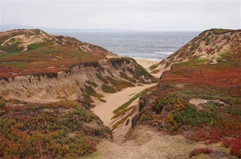 Fort Ord Dunes State Park Alchetron The Free Social Encyclopedia