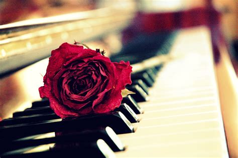 Cool Piano Wallpapers Top Free Cool Piano Backgrounds Wallpaperaccess