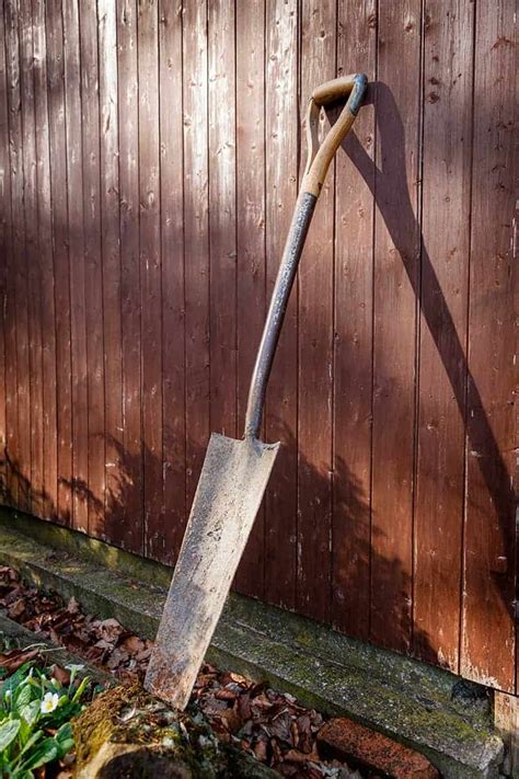 Top 12 Best Shovel For Digging Up Roots Ban Tra Dep