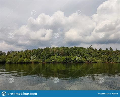 View Of The Island And Mangroves In The Waters Of Penajam Bay Borneo