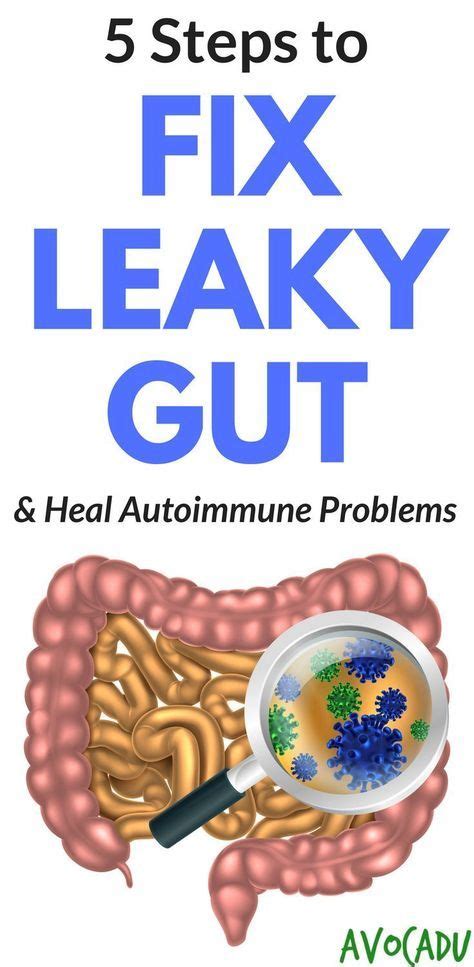 5 Steps To Fix Leaky Gut And Heal Autoimmune Disease Artofit