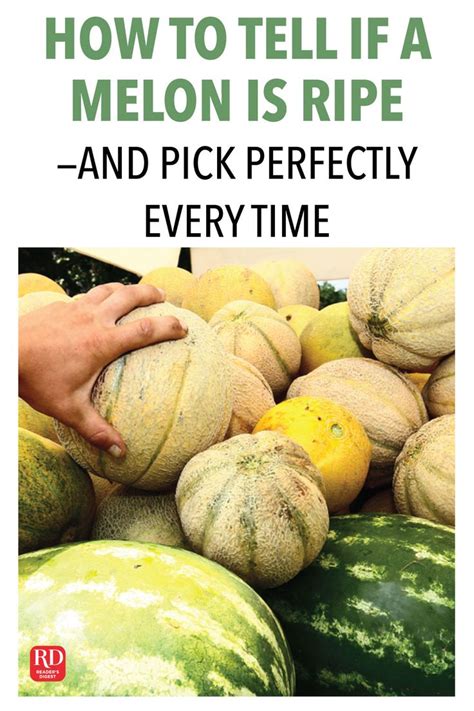 How To Pick A Perfectly Ripe Melon—every Time Melon Honeydew Melon