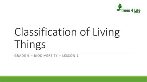 Ppt Classification Of Living Things Powerpoint Presentation Free Download Id 2179690