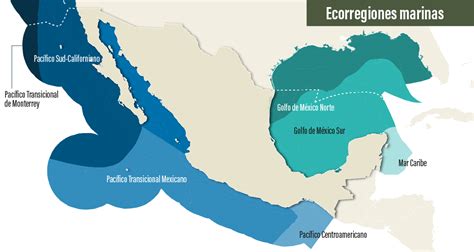 Ecorregiones Marinas Biodiversidad Mexicana