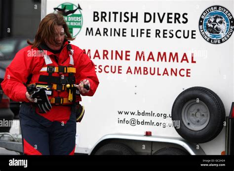 The British Divers Marine Life Rescue Team On The Bank Of The River