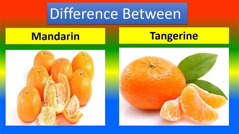 Difference Between Mandarin And Tangerine Youtube