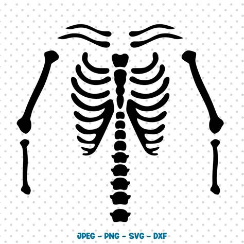 Skeleton svg | Karimoos