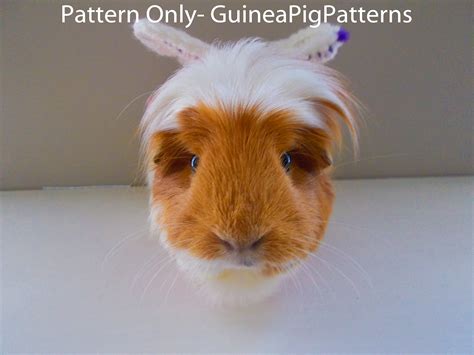 Guinea Pig Crochet Fairy Costume Pattern Digital Download And Etsy