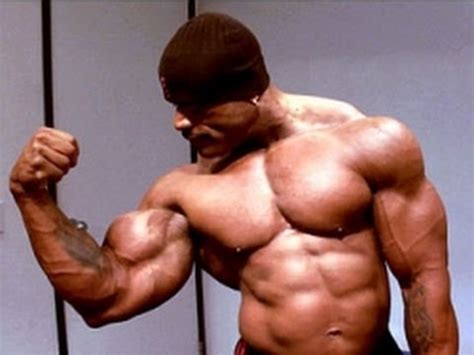 The Perfect Beginner's Bicep Workout ( No Equipment Needed ...