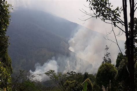 Bismillah penyeri jambangan di hujung desa, anggerik hutan di dahan cemara; Lahan di Gunung Ciremai Terbakar 100 Hektare