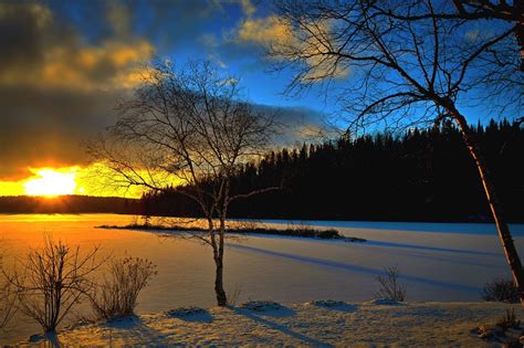Winter Landscape Sunset Trees · Free Photo On Pixabay