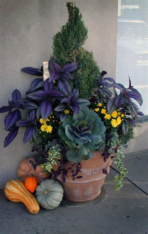 Autumn Container Garden With Ornamental Cabbage Fall