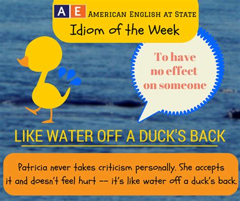 Idiom Like Water Off A Duck S Back Learn English Grammar English
