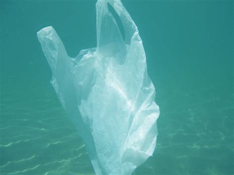 Alarming Concern On The Impact Of Plastic Pollution On