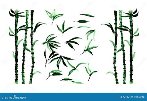 Set Of Bamboo Plants And Leaves Watercolor Illustration Stock