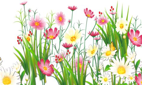 Download Grass Clipart Transparent Background Flower And Grass Png