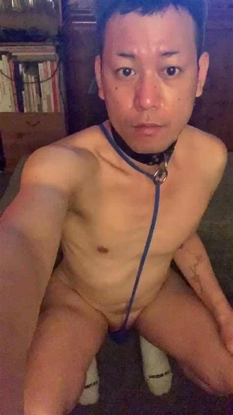 Asian Mutt Bitch Fag On Twitter Bitchs New Outfit Is It Too Naughty