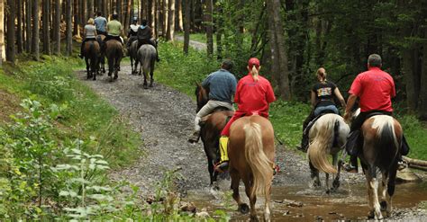 Horseback Riding Locations In Cherokee National Forest Tn East Tn