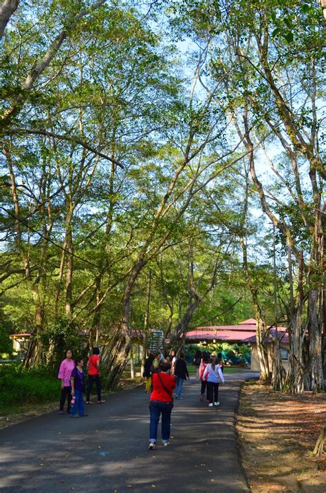 Kuala selangor is a town in selangor state. Our Journey : Selangor Kuala Selangor - Nature Park ...