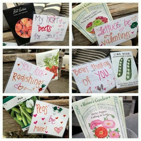 Seed Packets As Valentines Cute Valentines For Kids Valentines