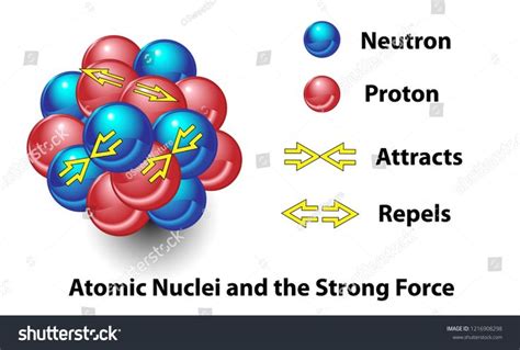 Strong Force In The Nucleus Of An Atom This Science Diagram Shows The