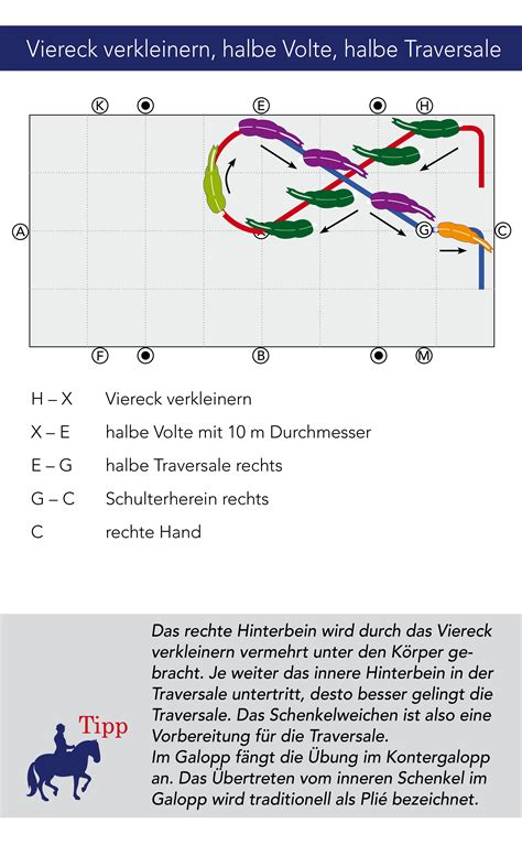 Bahnfiguren (auch hufschlagfiguren genannt) sind festgelegte linien und formen für pferd und reiter. Kreativ durchs Viereck : Feine Hilfen