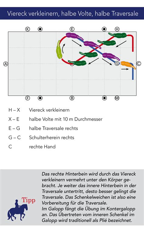 Mach es mit dem buch hufschlagfiguren doppelt so angenehm! Kreativ durchs Viereck : Feine Hilfen