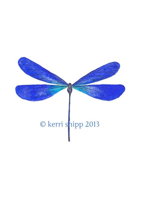 Dragonfly In Cobalt 11x14 Print New By Driftwoodinteriors On Etsy 37