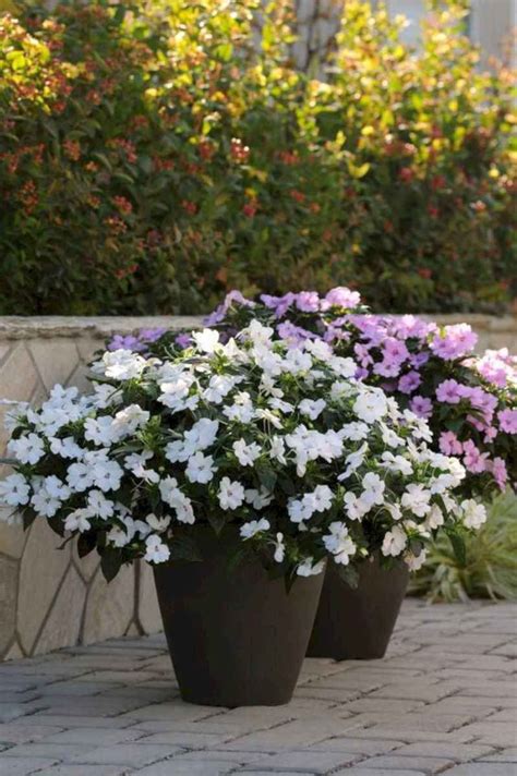 What potted flowers attract hummingbirds? 48 Stunning Container Garden Planting Design Ideas ...
