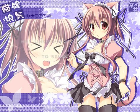 Cute Girl Uleq Neko Catgirl Anime 920065