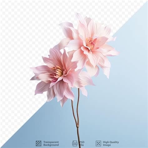 Premium Psd Gorgeous Fake Flower On Transparent Background