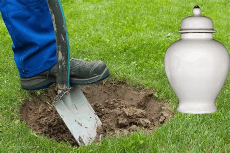 Is It Legal To Bury Ashes In Your Backyard In The Usa Funeral Companion
