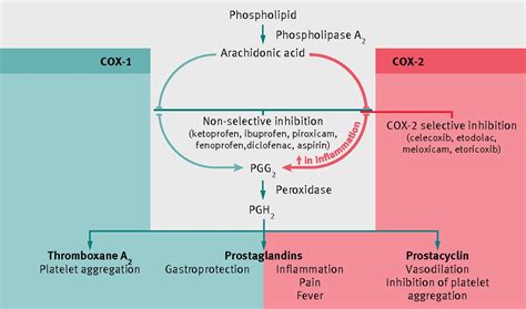 Prostaglandins have a number of effects on your body, including causing inflammation. Non-steroidal anti-inflammatory drugs (NSAIDs) | The BMJ