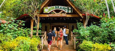 Belize Jungle Lodge Adventure Resort All Inclusive Caves Branch