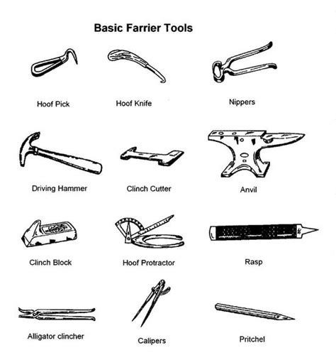 13 Farrier Tools List Kufenacavan