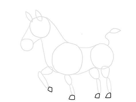 Kako Nacrtati Zebru Slika Kako Nacrtati Zebru 6