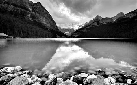 Beautiful Nature Hd Wallpaper Black And White Free