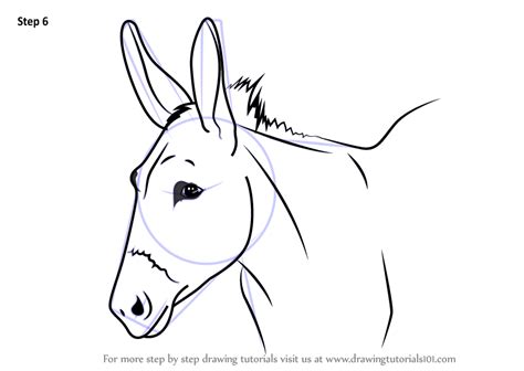 How To Draw Drawing A Donkey Draw Easy