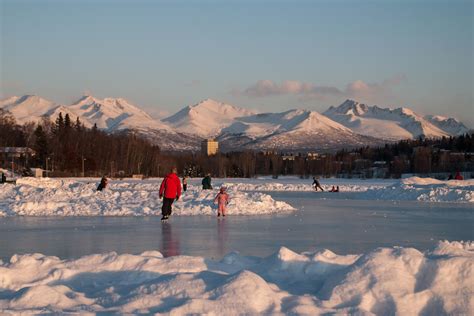 Winter Activities In Anchorage Alaska Dog Sledding And Skating