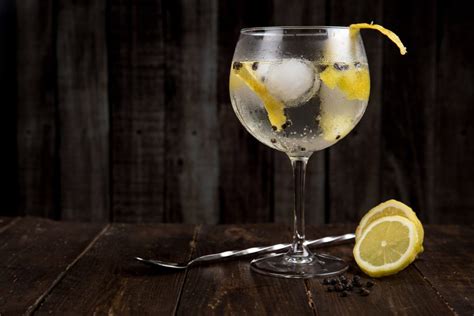 4 Best Gin Glasses That Make Your Gandt Come Alive