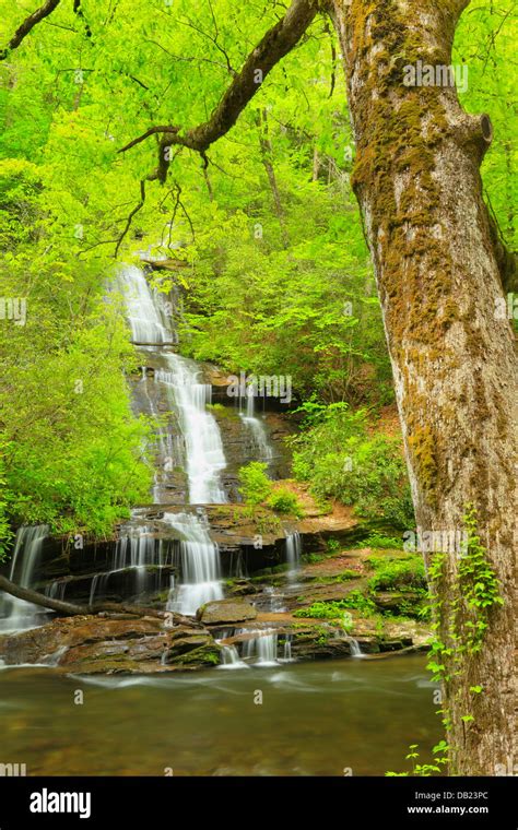 Toms Branch Falls Deep Creek Great Smoky Mountains National Park