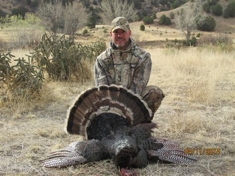 east colorado turkey hunts and west nebraska turkey hunting outfitters