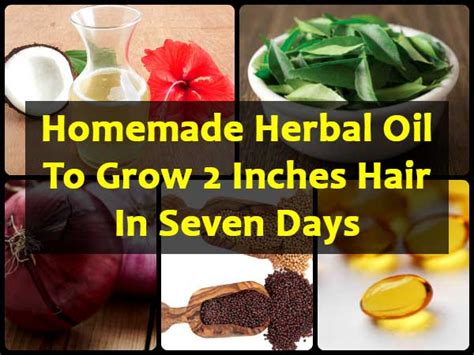 Argan oil is filled with nutrients and essential fatty acids to keep your hair and skin soft and healthy. Homemade Herbal Oil To Grow 2 Inches Hair In Seven Days ...