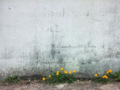 Free Images : wall, asphalt, weather, soil, road surface 4160x3120