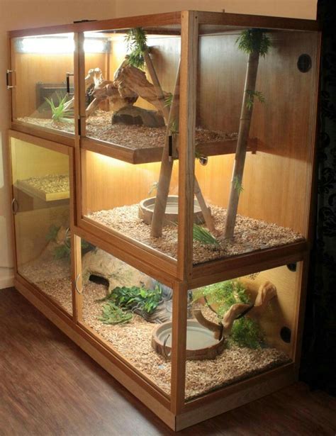 I bought my fiancé a bearded dragon 3 years ago. 34 best DIY for the Reptile Hobbyist images on Pinterest ...