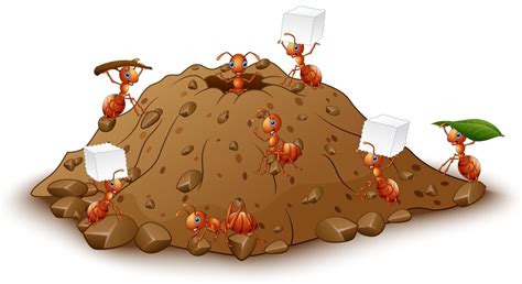 Pin By Aya Aya On Pest Control Ants Vector Illustration Ant Colony