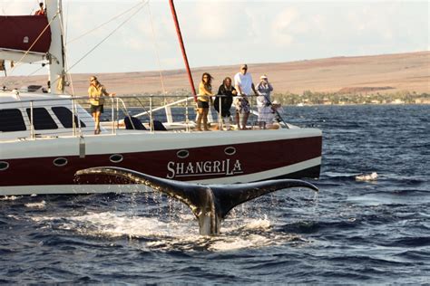 Shangrila Private Sunset Sail │ Maui Private Charters │ Private West